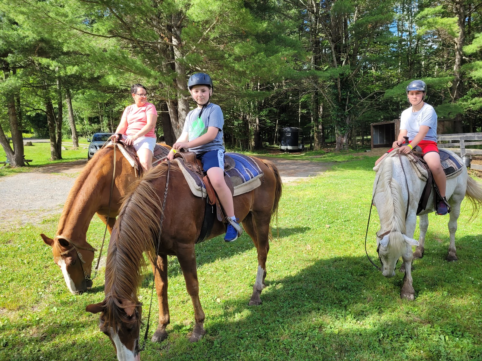 Braden Brook Stables