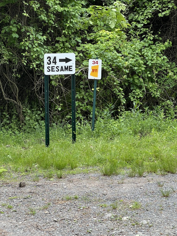 IMG_4303.jpeg