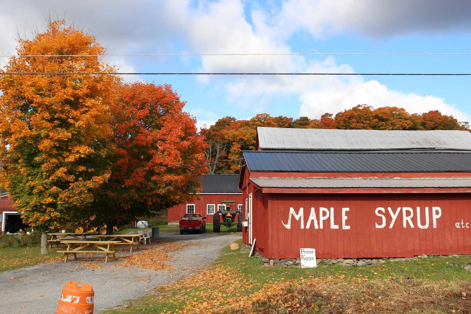 Buck Hill Farm