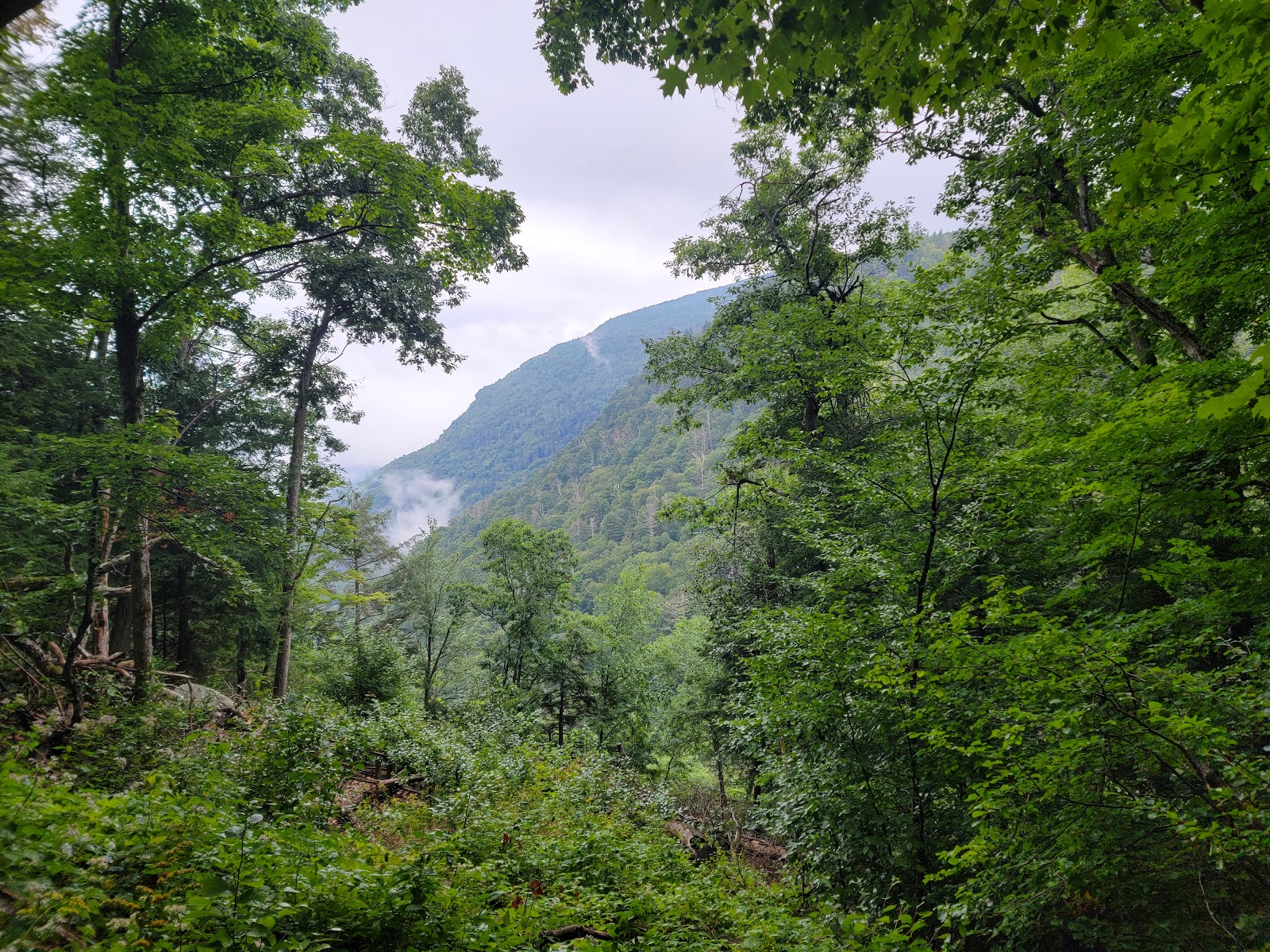 Codfish Point Trailhead