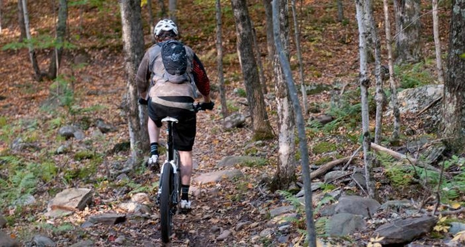 Elm Ridge Wild Forest