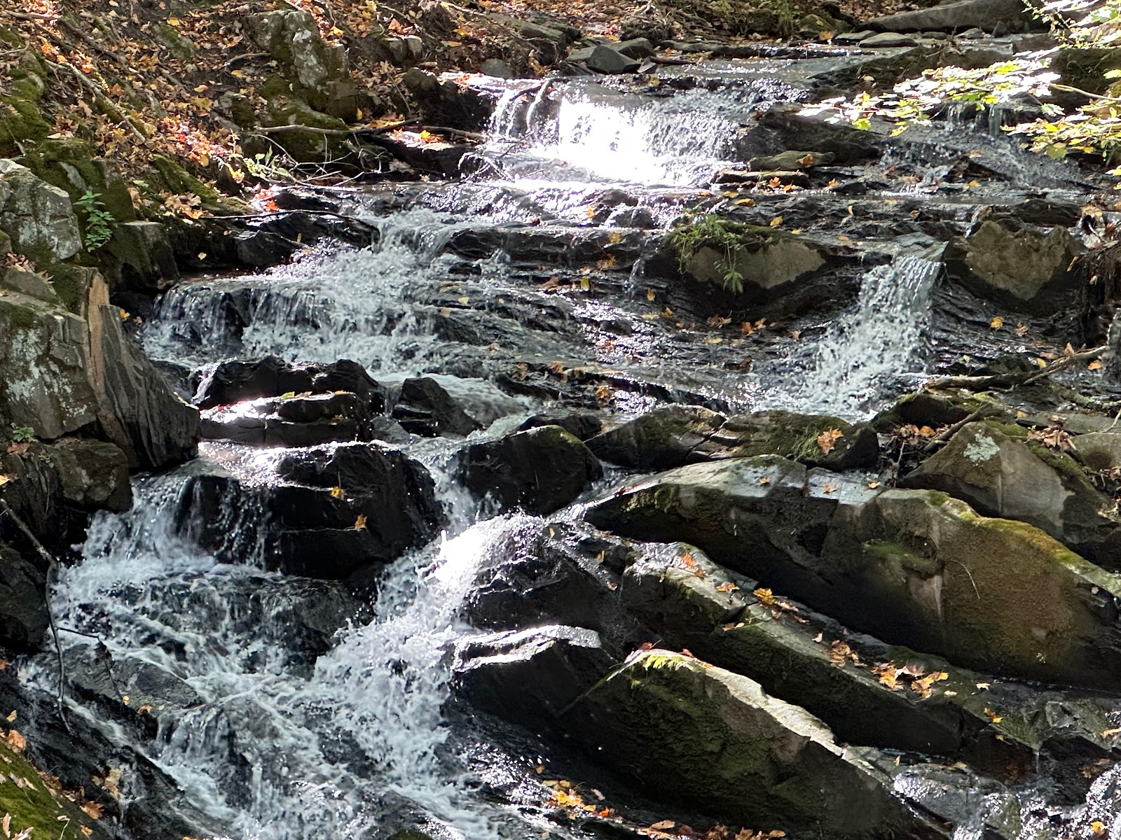 Falling Waters Preserve