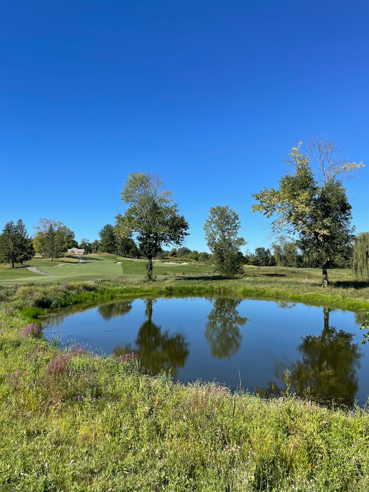 Inness Golf
