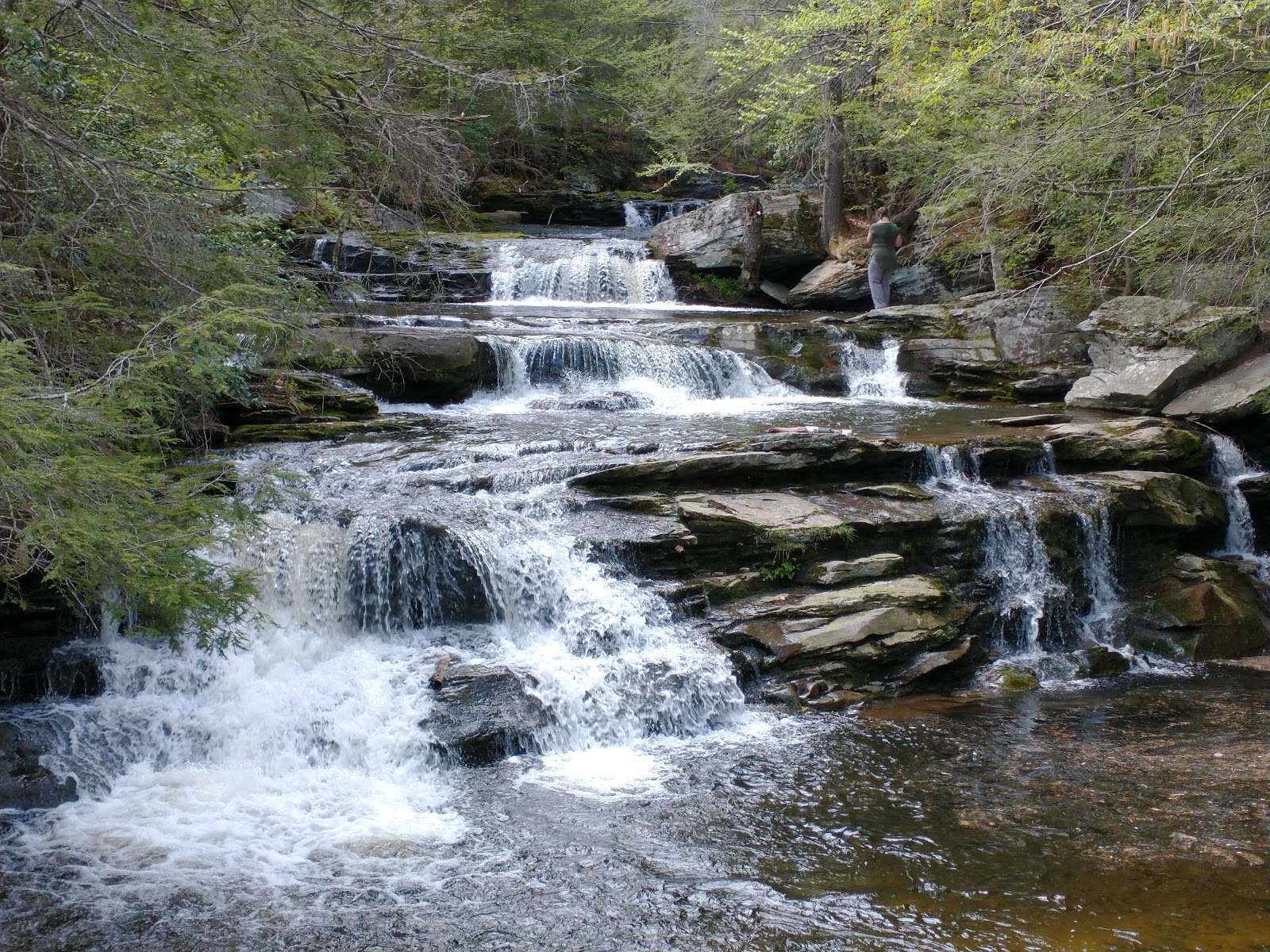 Vernooy Falls