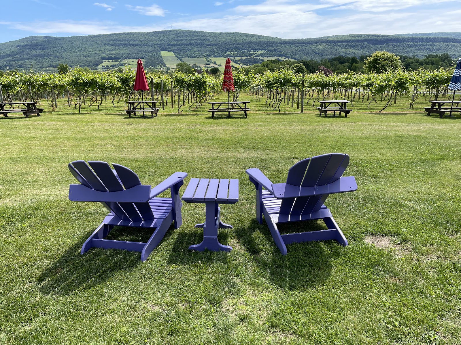 Middleburgh Winery, LLC