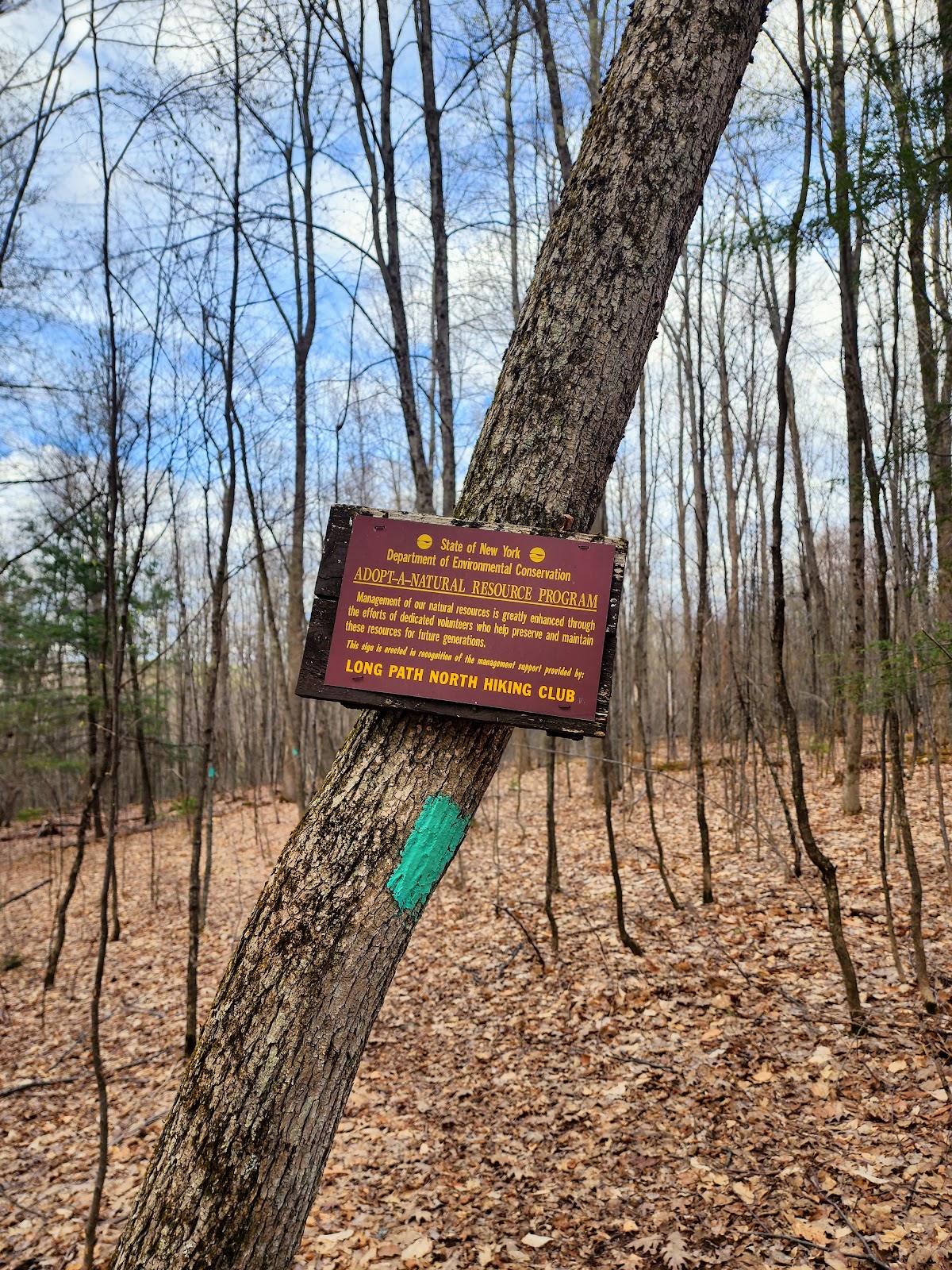 Burnt-Rossman Hills State Forest