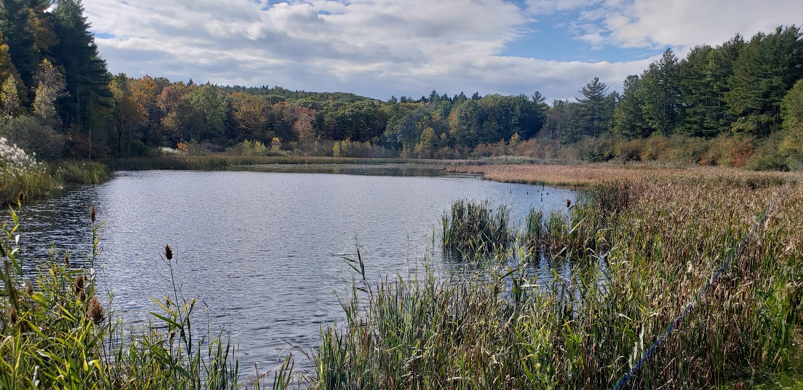 Wilson M. Powell Wildlife Sanctuary