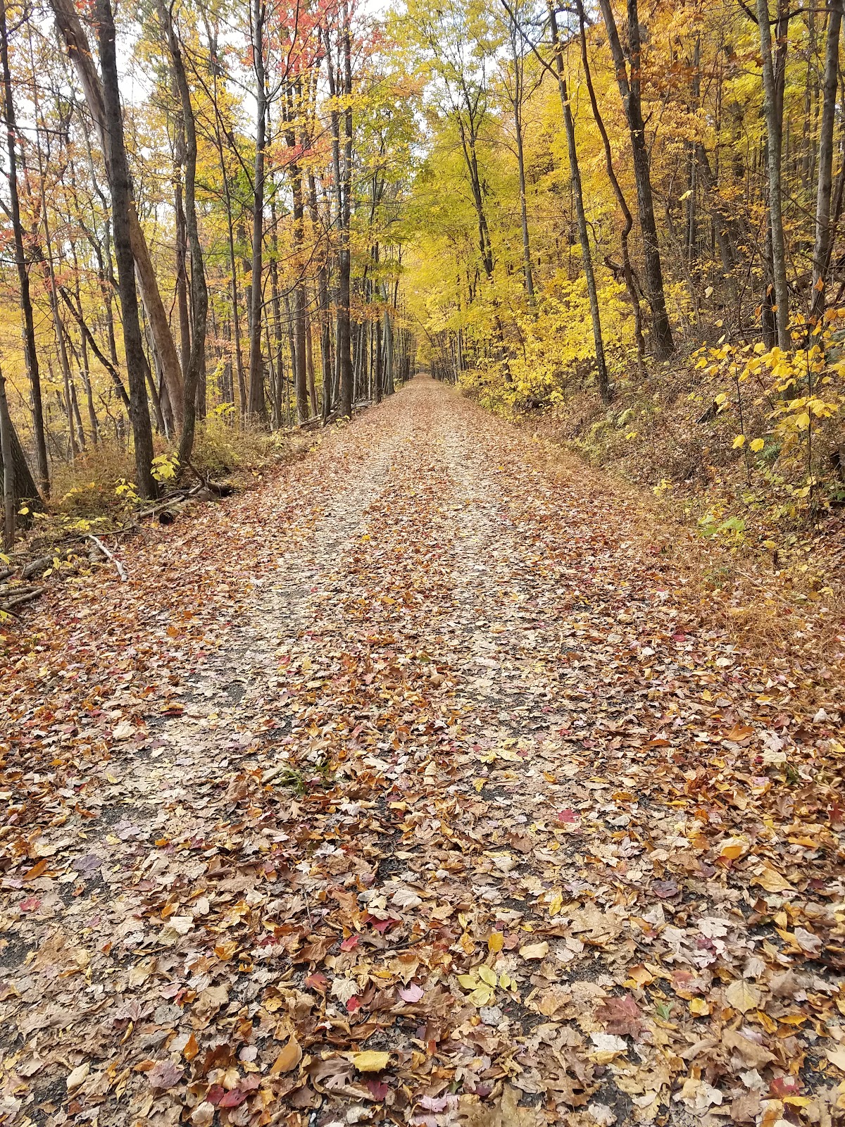 Ashokan Rail Trail- Ashokan Station Trailhead