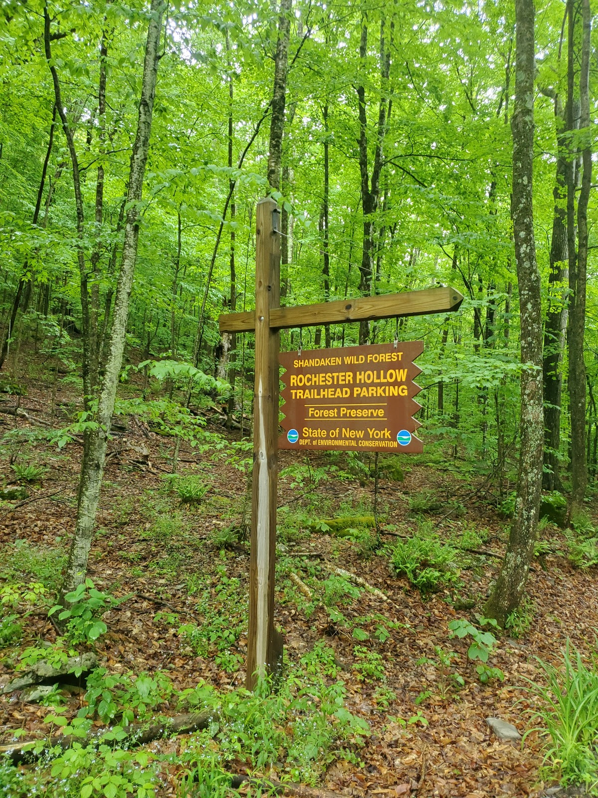 Rochester Hollow Trailhead